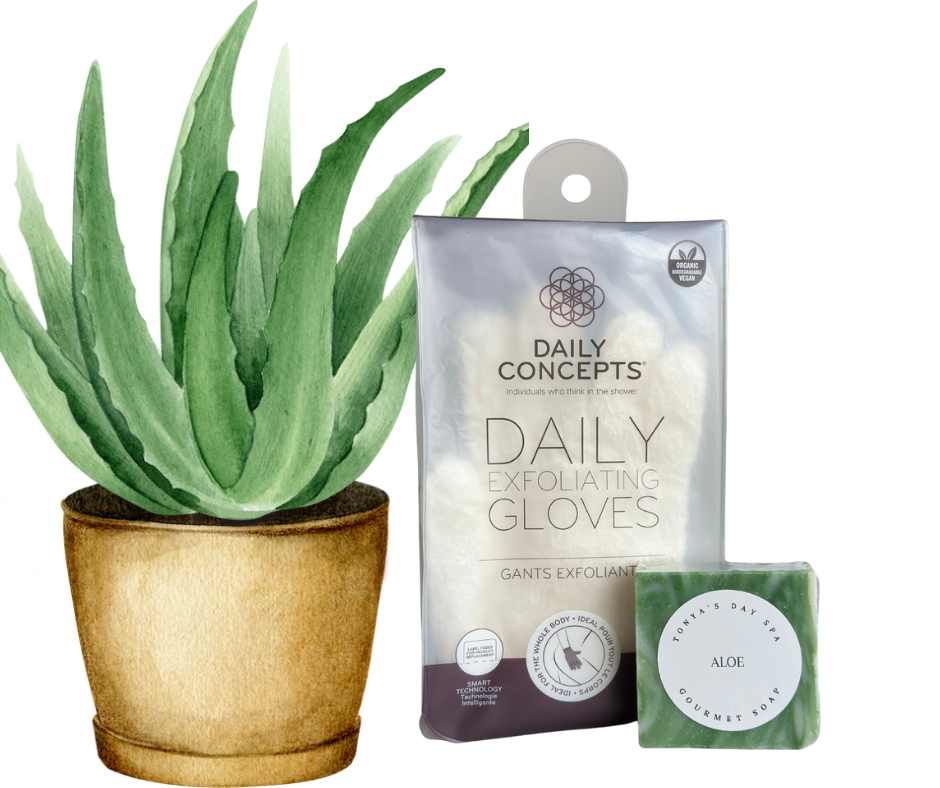 Aloe Body Love Set