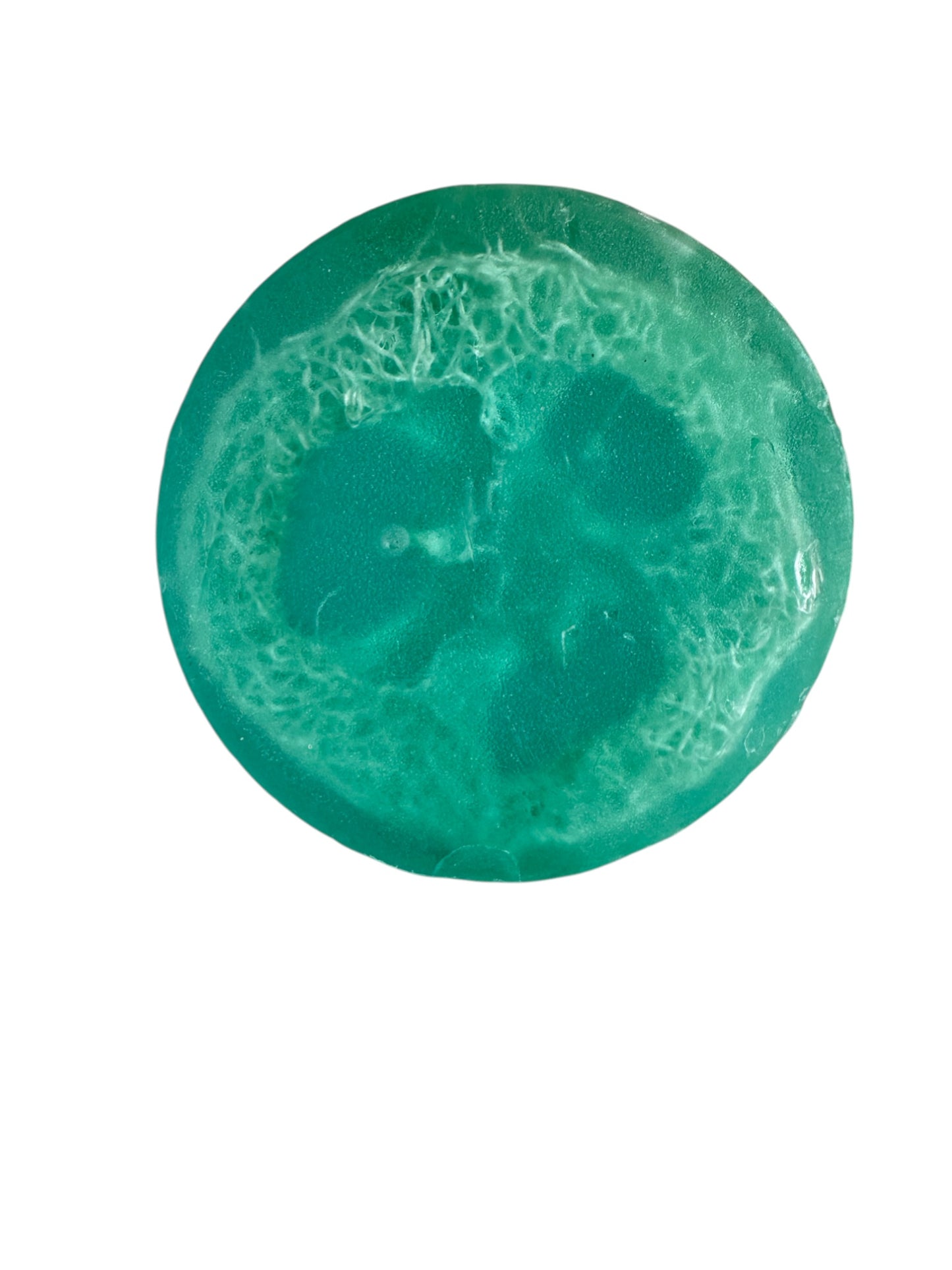 Loofah Soap